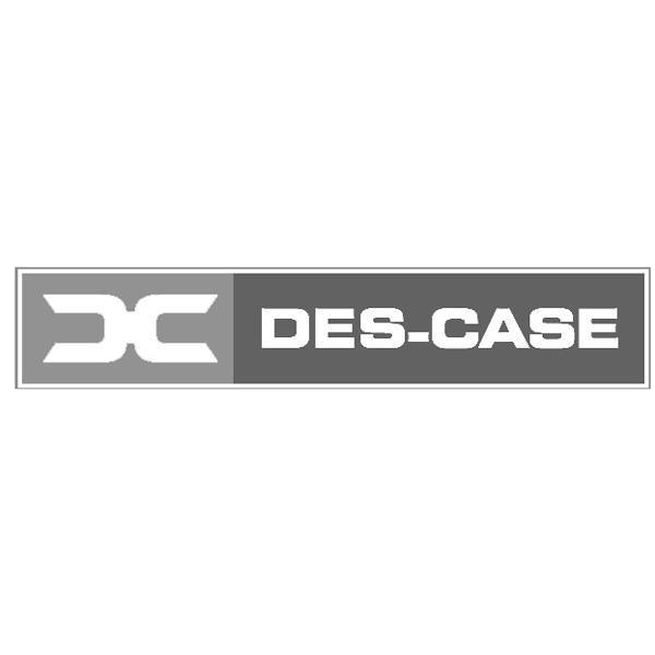 DES-CASE